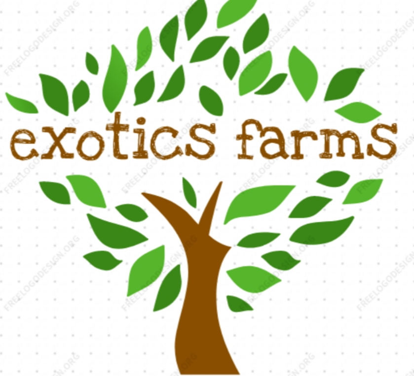 exoticsfarms